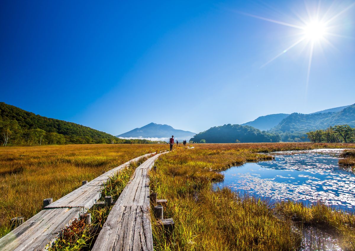 Il paesaggio di Ozegahara nella prefettura di Gunma