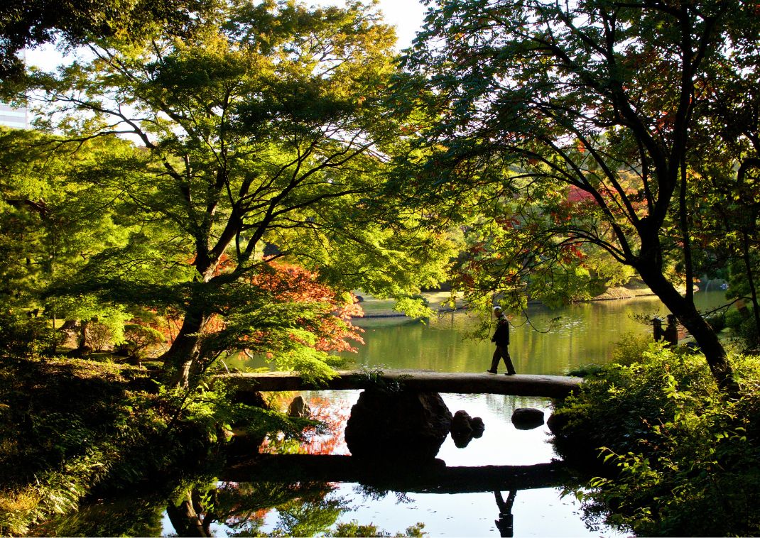 Una persona attraversa un ponte su uno stagno nel Giardino Rikugien, Tokyo