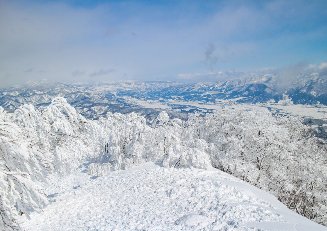 Mostri di neve, Zao Onsen