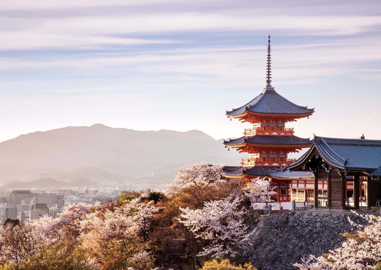 Tempio Kiyomizu durante la stagione dei ciliegi in fiore, con vista su Kyoto, Giappone