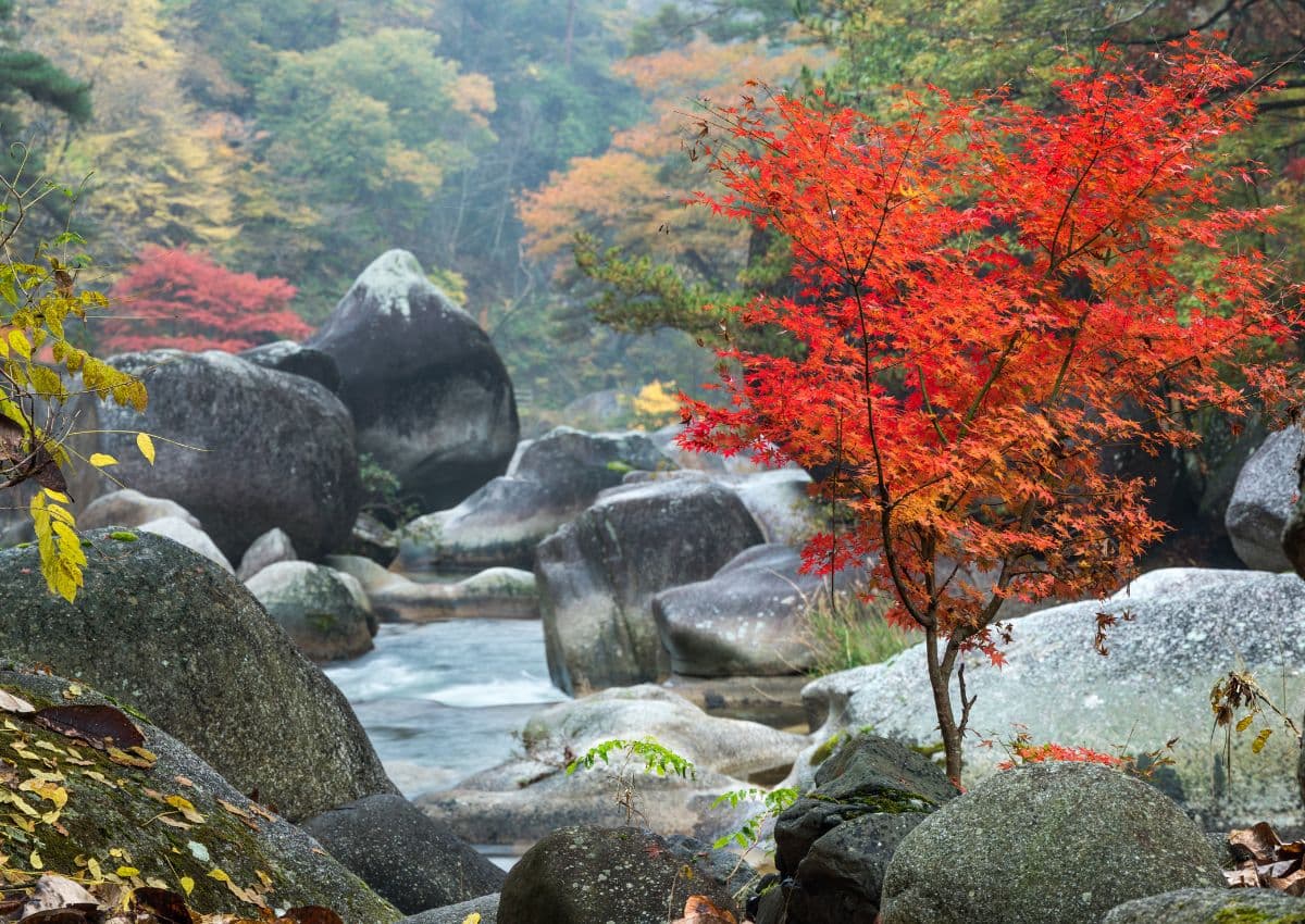 La gola di Shosenkyo in autunno, Kofu, prefettura di Yamanashi
