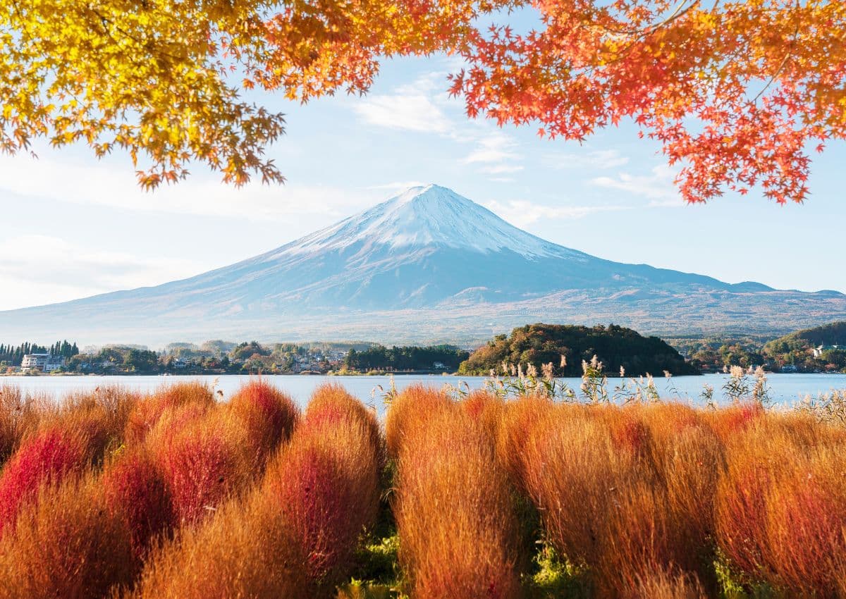 Foglie autunnali intorno al Monte Fuji