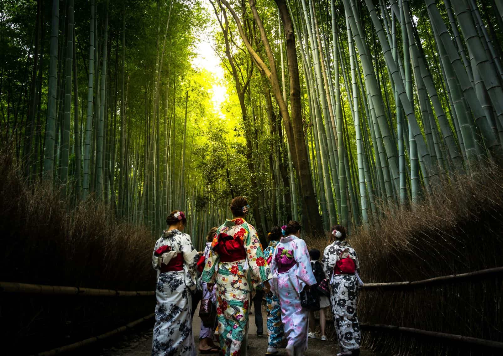 Ragazze in kimono nella foresta di bambù di Arashiyama, Kyoto, Giappone