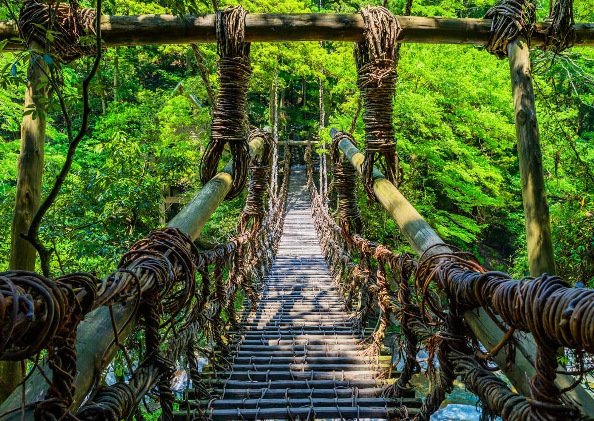 Uno dei ponti di liane nella valle di Iya, Tokushima, Giappone
