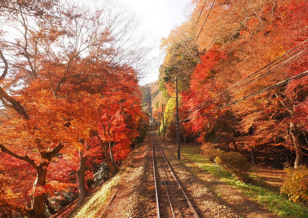 Autunno al Monte Takao, Hachioji, Giappone