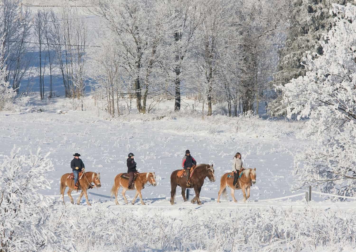 Equitazione sulla neve