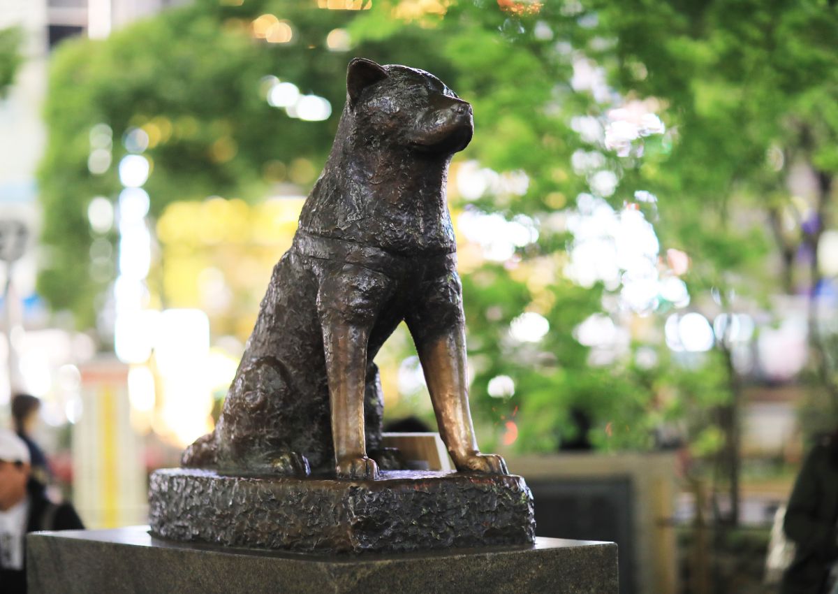 Statua di Hachiko a Shibuya