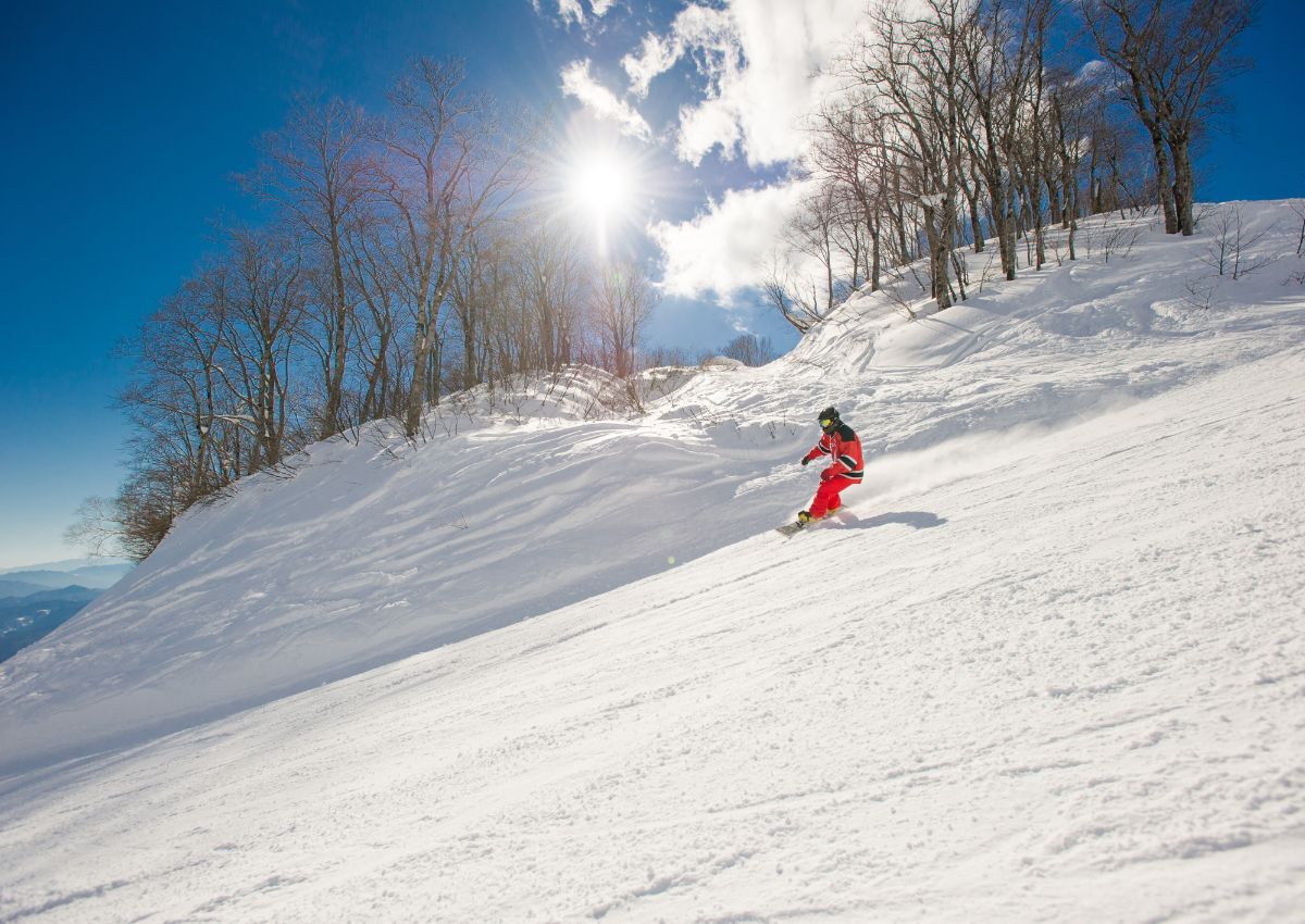 Snowboarder che scende lungo una pista in Giappone