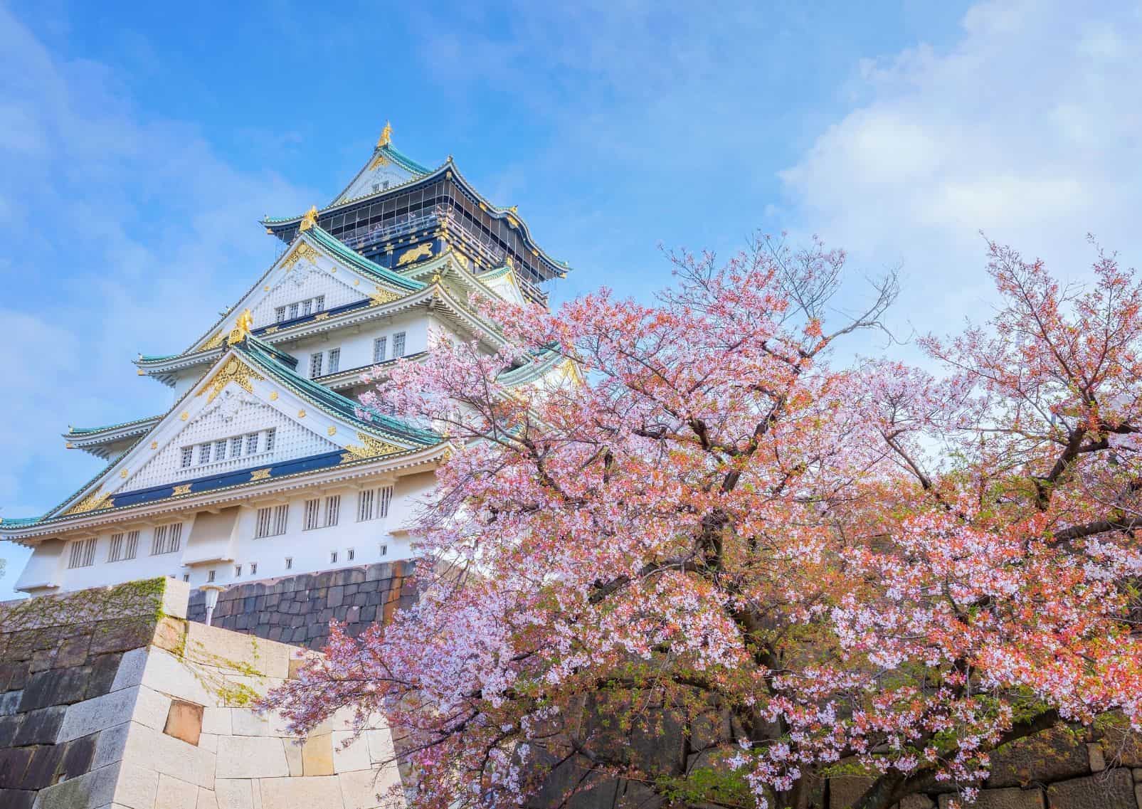 Castello di Osaka incorniciato dai ciliegi in fiore in una giornata di sole