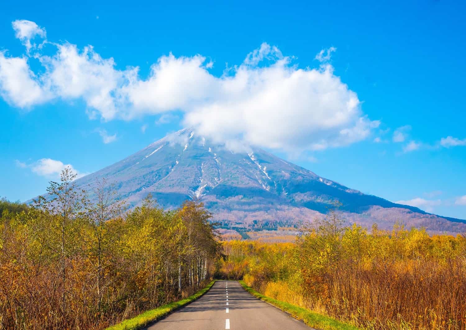 Strada a Niseko, Hokkaido in estate