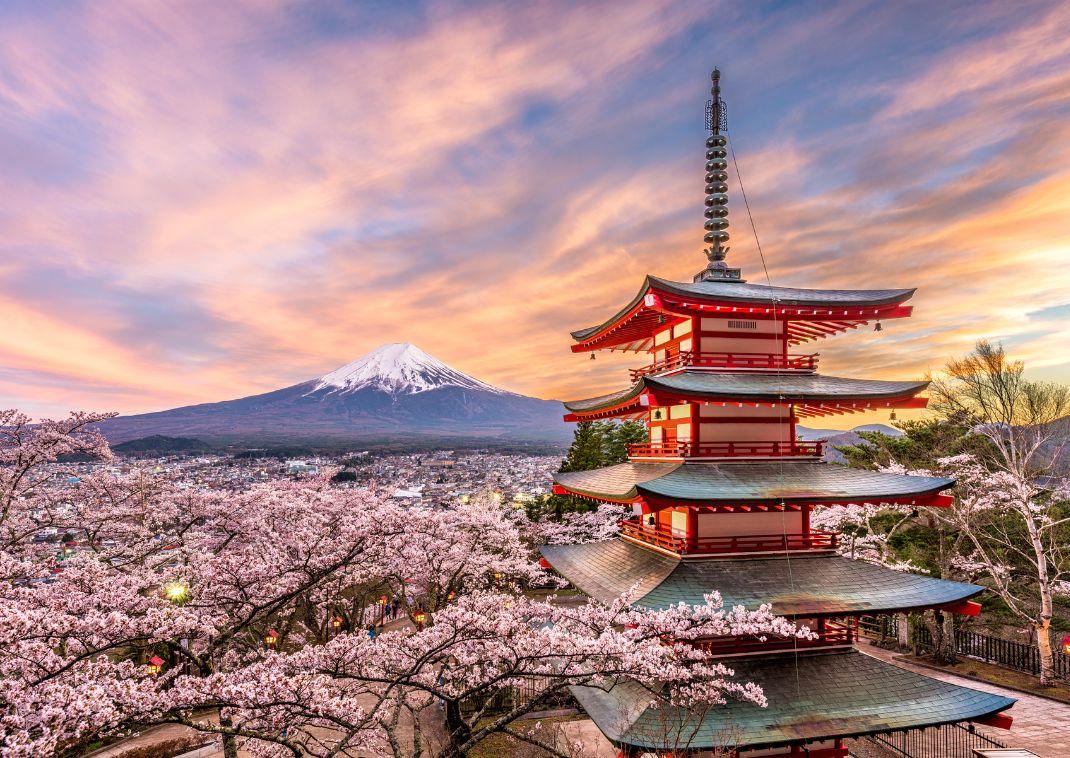 Pagoda Chureito, ciliegi in fiore e Monte Fuji al tramonto.