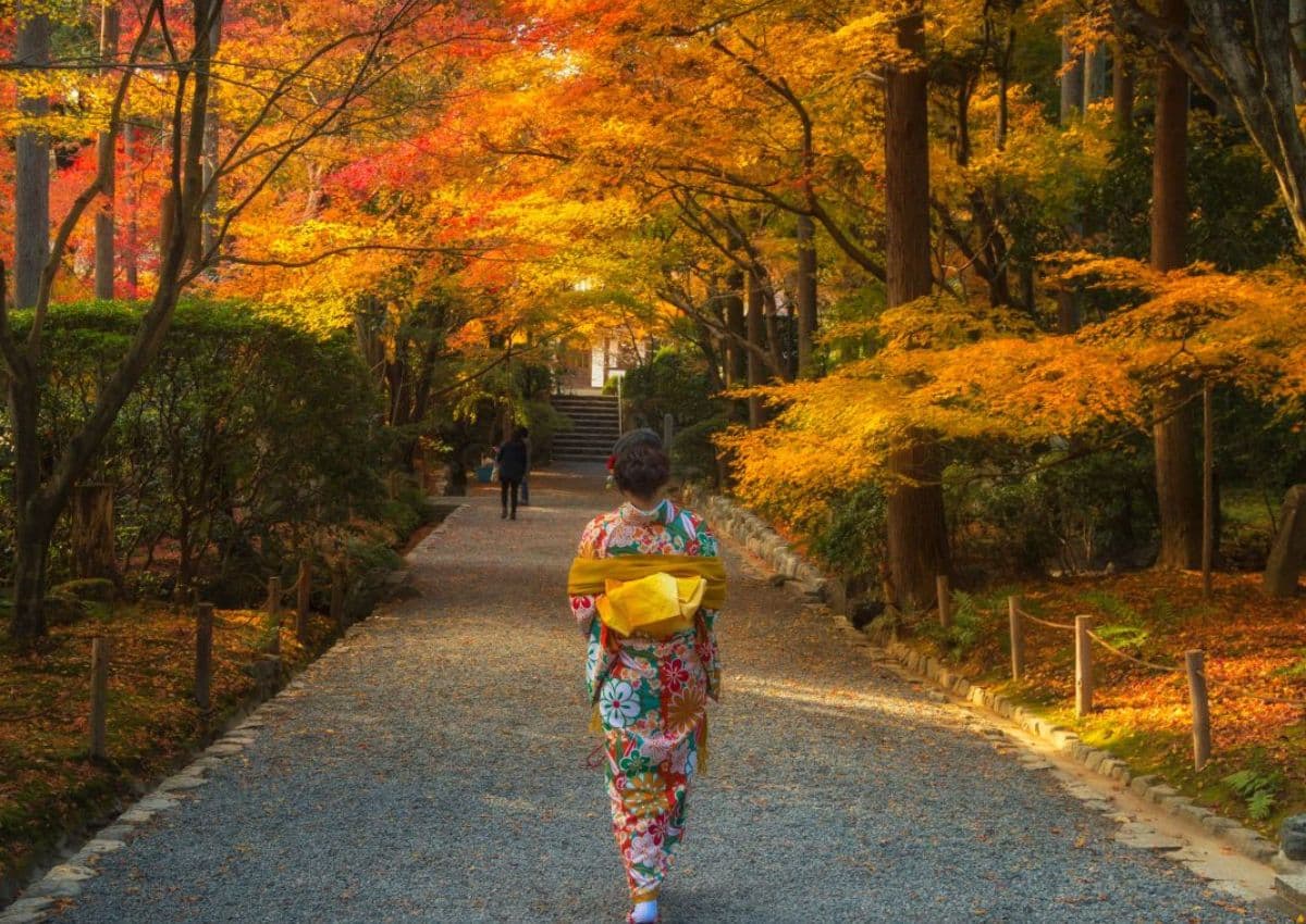 Ragazza giapponese con il Kimono cammina di spalle sullo sfondo autunnale