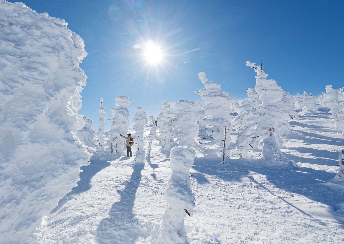 Mostri di neve a Yamagata, Giappone