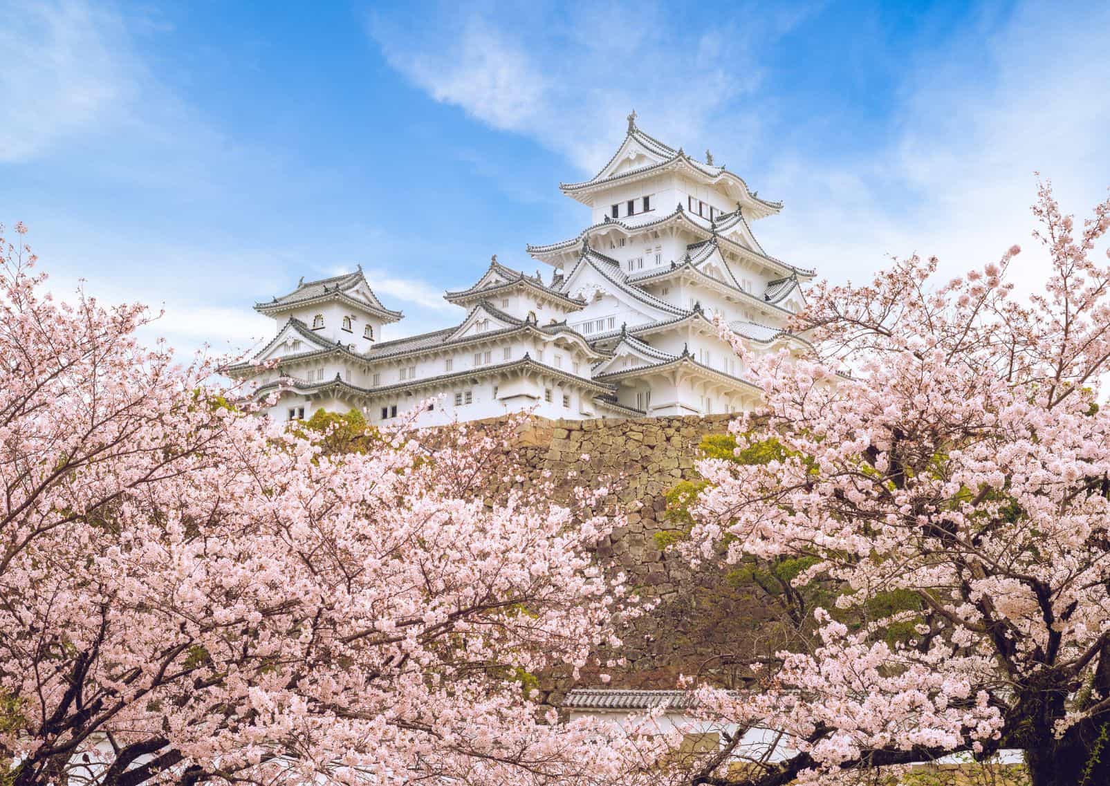 Castello di Himeji durante la stagione dei ciliegi in fiore, Giappone