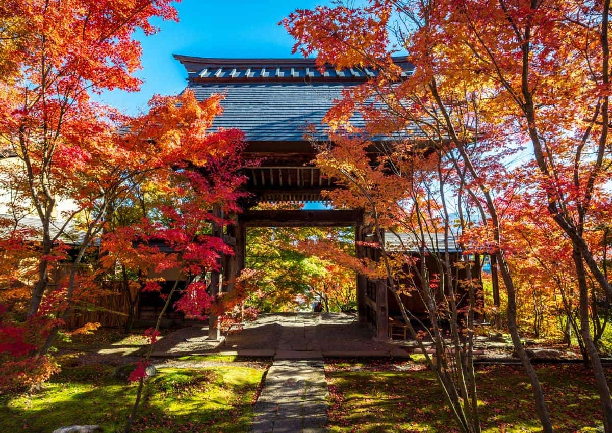 Foglie d’autunno in Giappone attorno a un torii