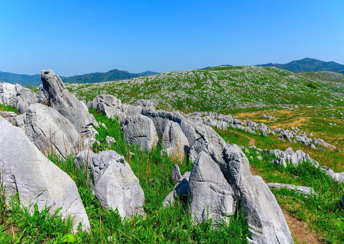 Paesaggio estivo dell'altopiano calcareo di Akiyoshidai