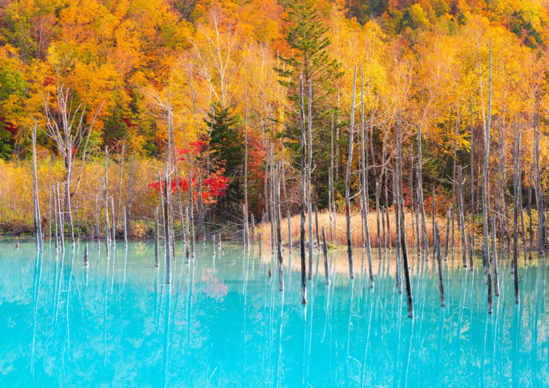 Riflessi d’autunno al Blue Pond, Hokkaidō, Giappone