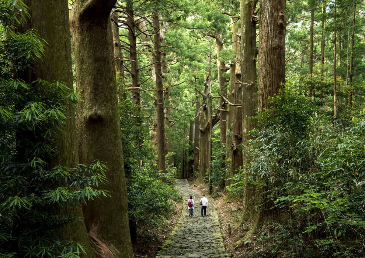 Antico cammino di pellegrinaggio Kumano Kodo, Giappone