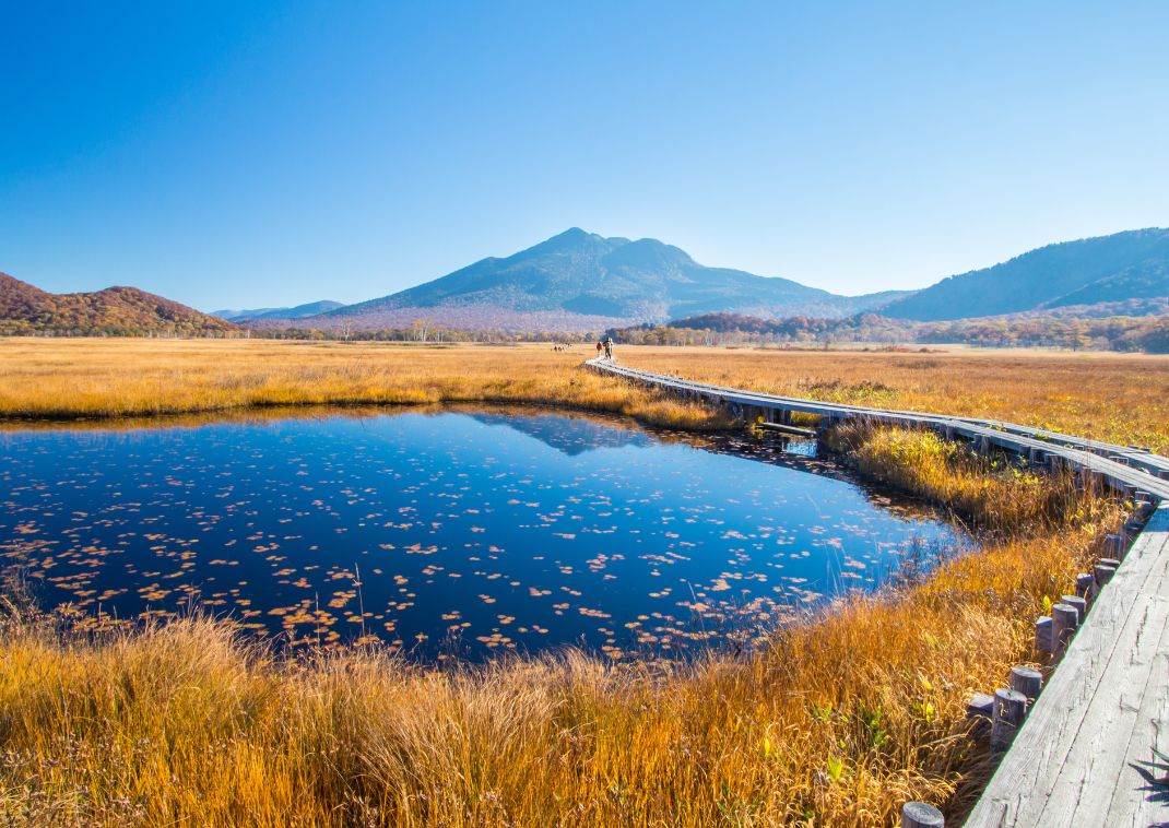 Un Bellissimo sentiero al Parco Nazionale di Oze, Giappone