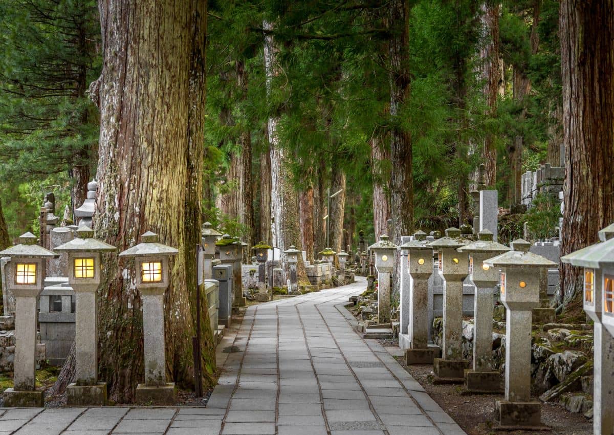 Sentiero di Okunoin tra i cedri, Koyasan, Giappone