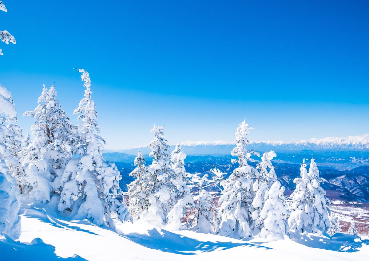 Mostri di neve nella stazione sciistica di Sugadaira, Nagano, Giappone