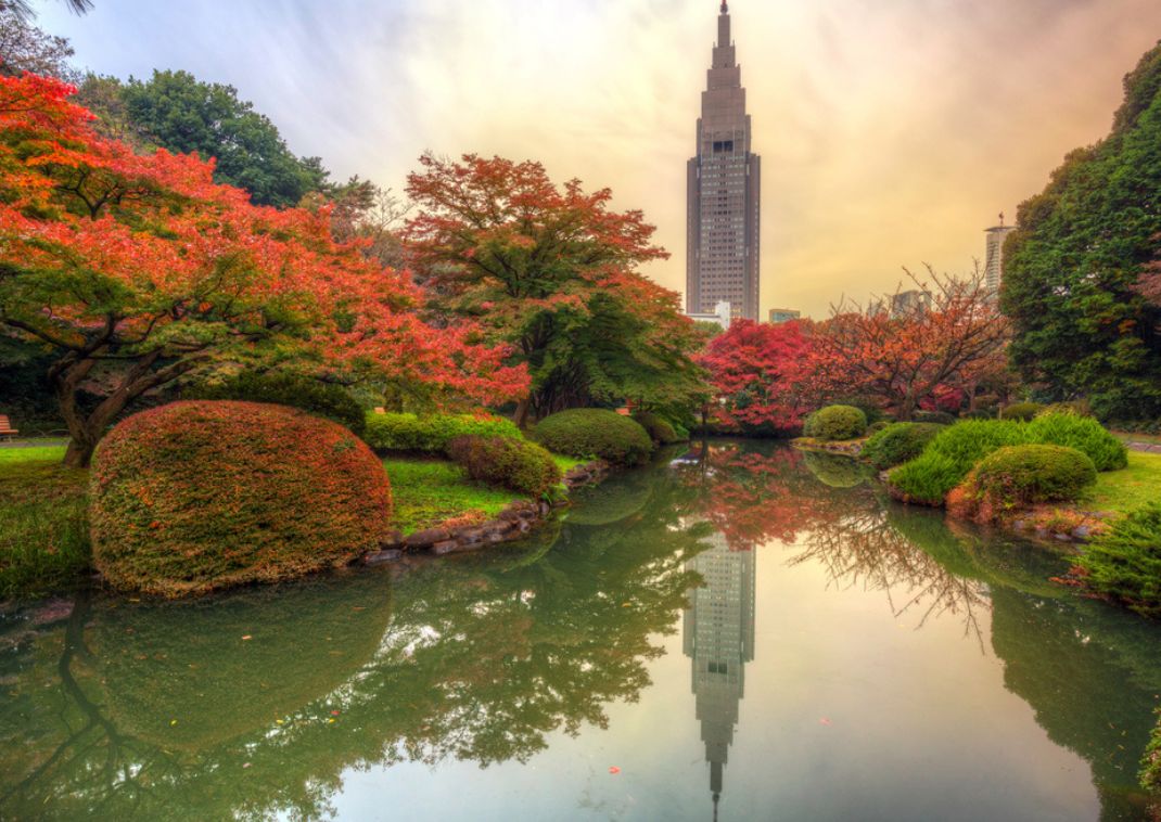 Parco Shinjuku, una tappa nel tuo tour delle location dell’anime “Your Name”, a Tokyo