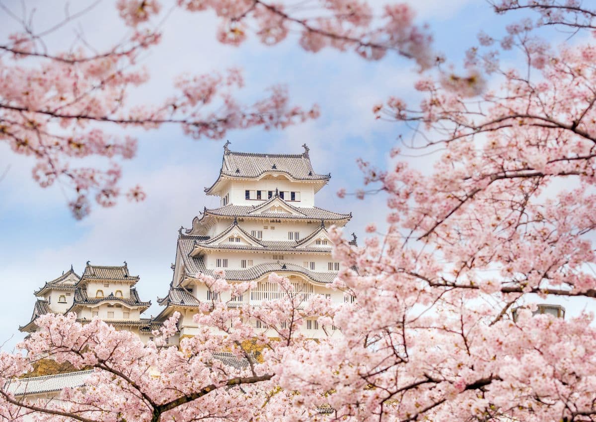 Castello di Himeji durante la fioritura dei ciliegi