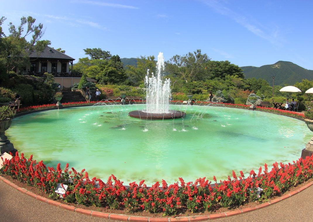 fontana circondata da molti fiori rossi