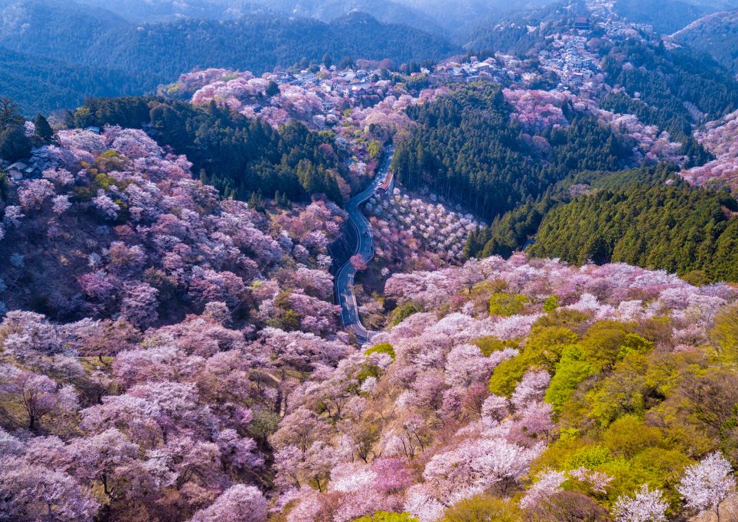 Montagna di Yoshino, Giappone