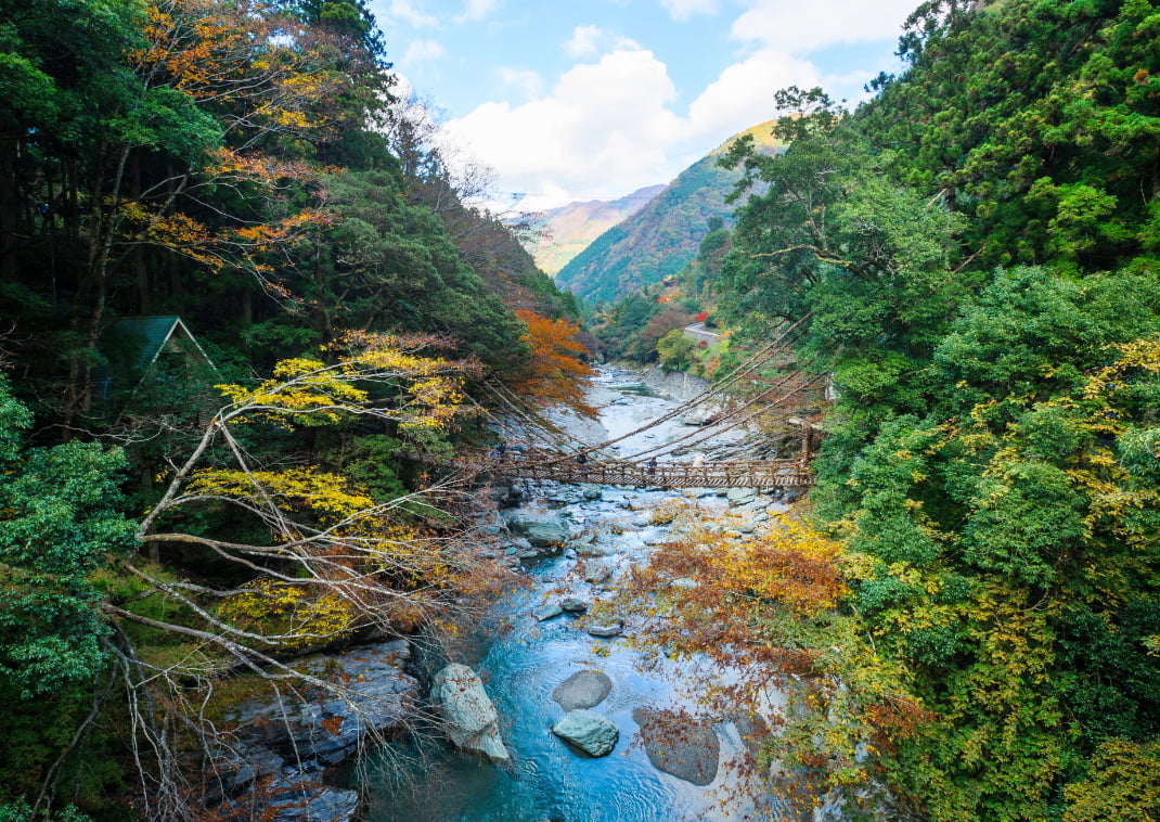 Ponte Kazurabashi, Tokushima