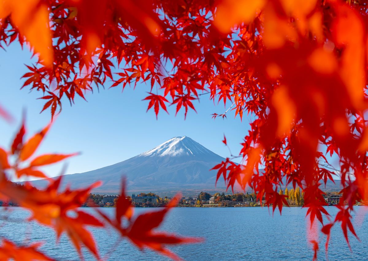 Il Monte Fuji incorniciato dalle foglie rosse d’acero in autunno, Giappone.