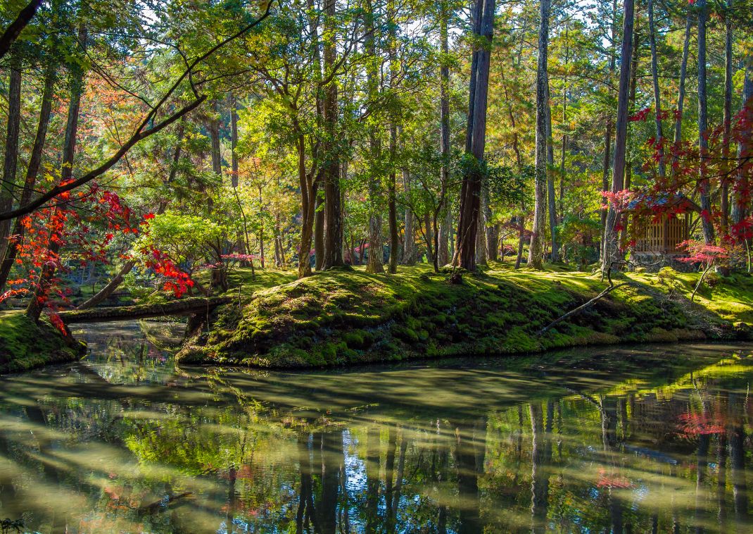 Giardino giapponese del tempio Saihō-ji (Kokedera), Kyoto, Giappone
