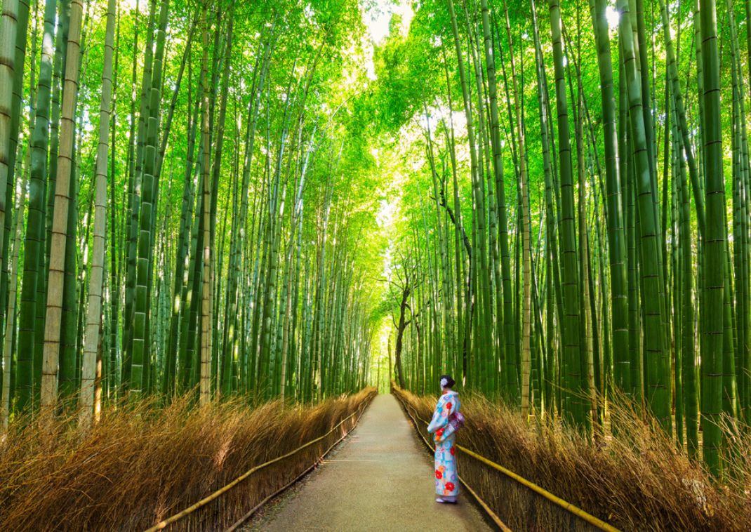 Ragazza in yukata nella foresta di bambù di Arashiyama, Kyoto, Giappone.