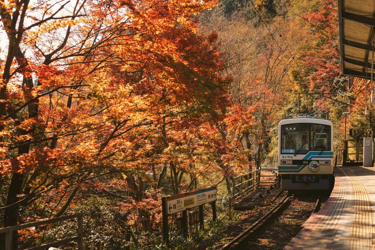 Treno blu nella foresta, Kyoto, Giappone