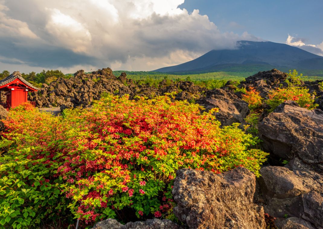  Rocce vulcaniche nel parco Onioshidashi, vicino al monte Asama, Giappone.