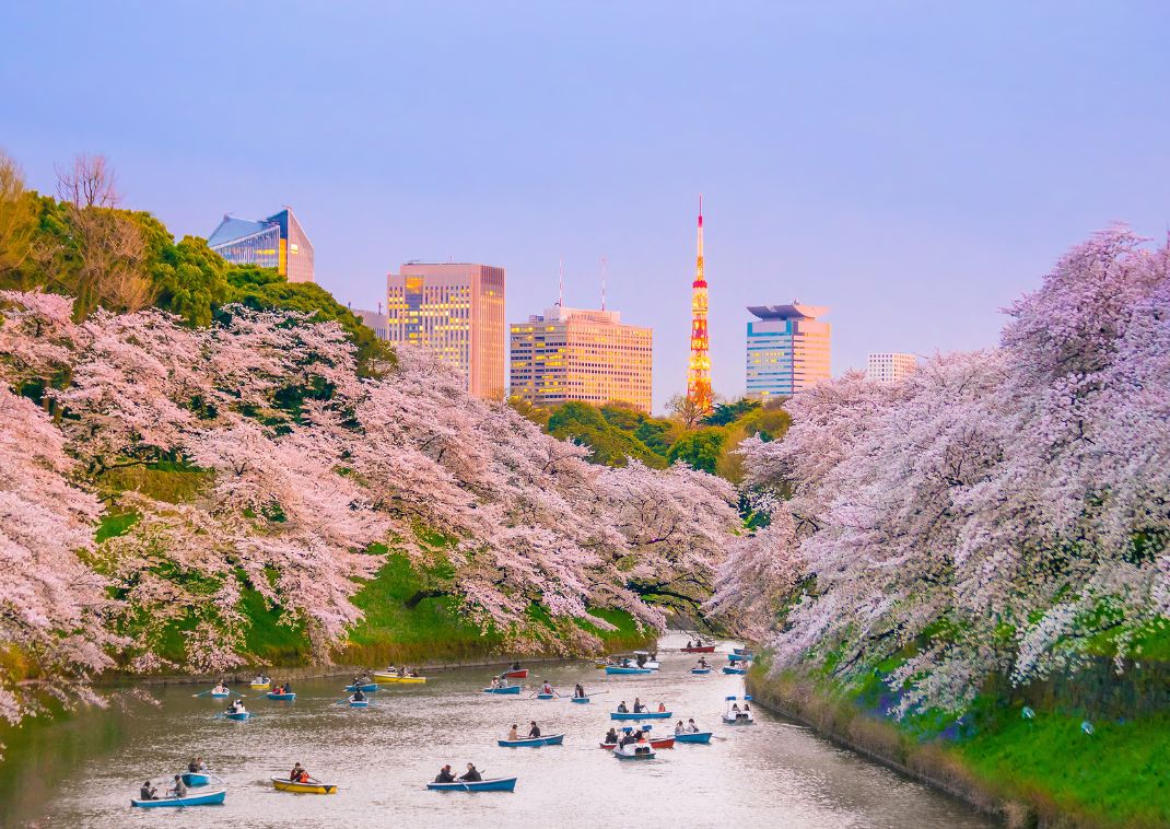 Parco Ueno in primavera, Tokyo, Giappone