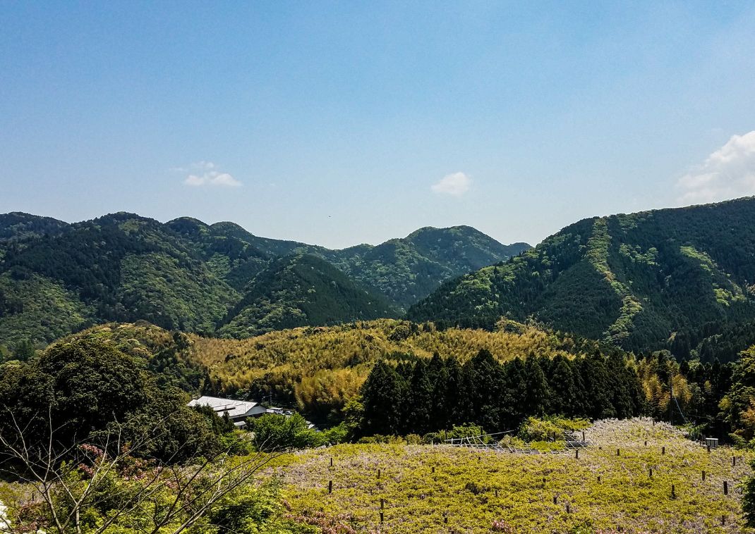 Vista dal belvedere alla fine del sentiero del Giardino Kawachi, per vedere i glicini in Giappone