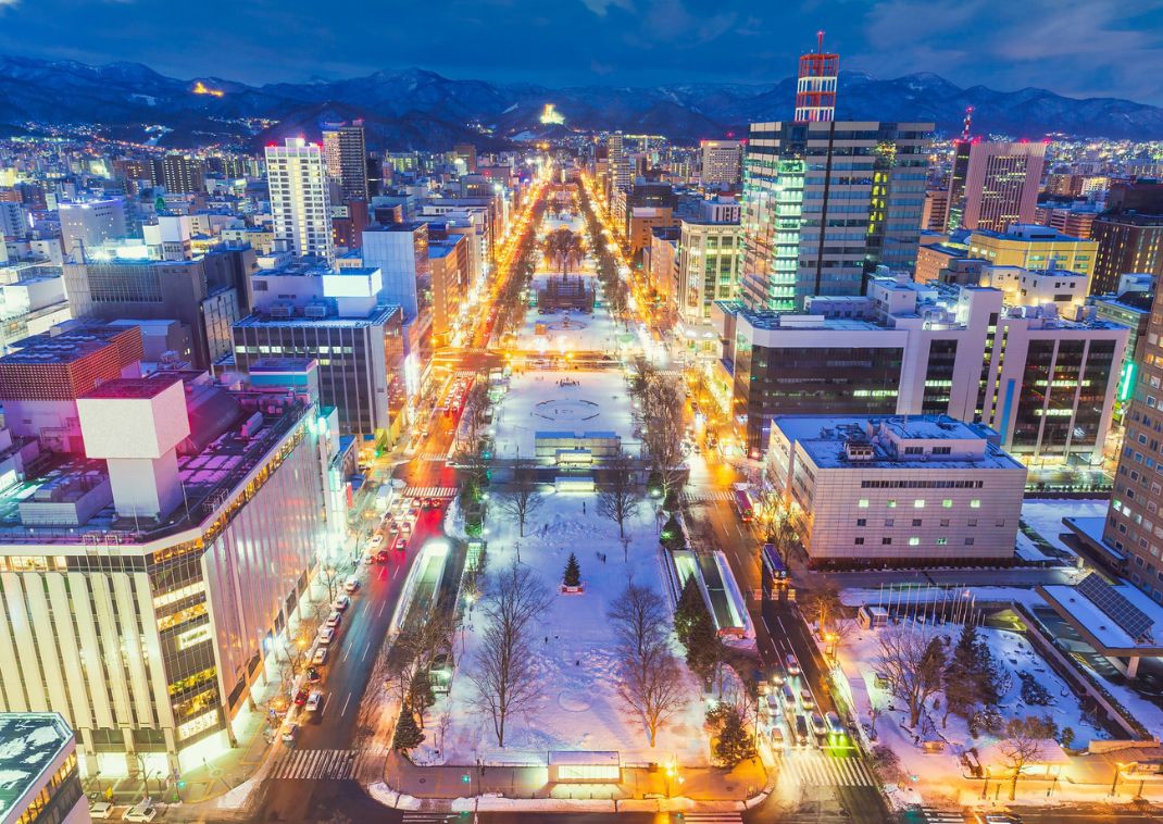 Veduta del Parco Odori dalla Torre TV di Sapporo, illuminazione durante la stagione invernale