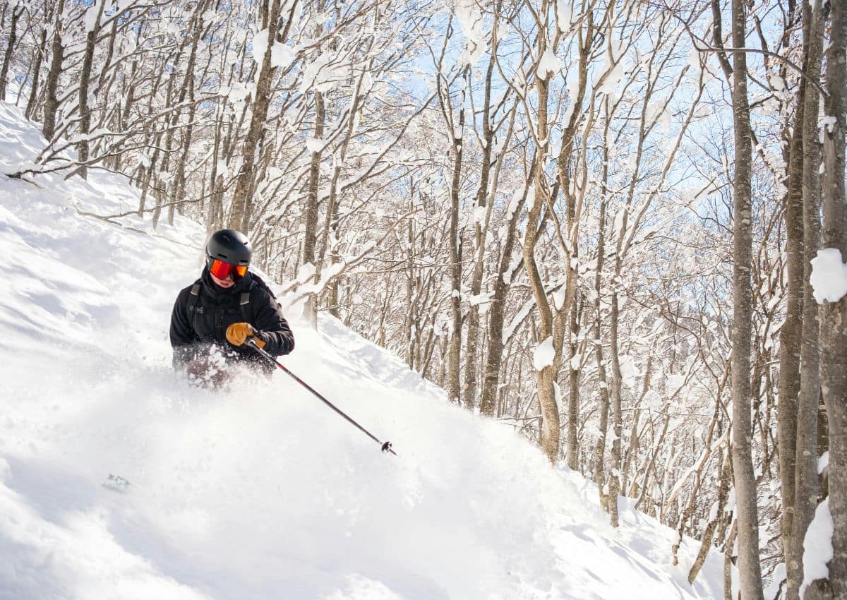 Sci tra gli alberi nella stazione sciistica di Tsugaike Kogen, Hakuba, Giappone