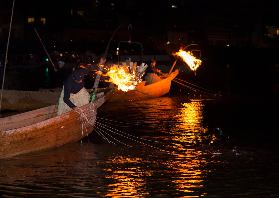 Ukai (un’antica tecnica di pesca per pescare pesci d’acqua dolce usando cormorani ammaestrati). Al fiume Nagaragawa, un ujo conduce la pesca usando 12 cormorani alla volta.