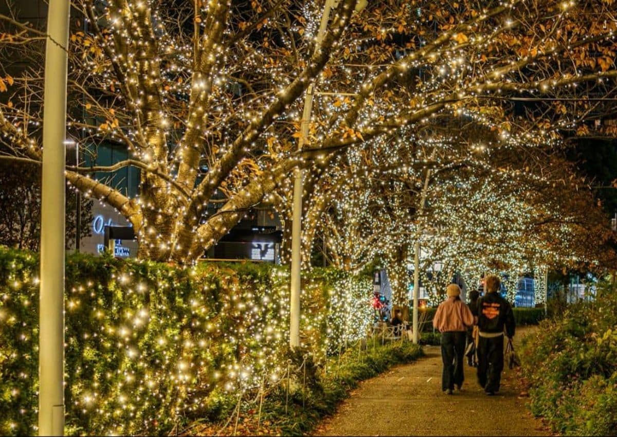 Due persone camminano tra le luminarie invernali a Tokyo, Giappone