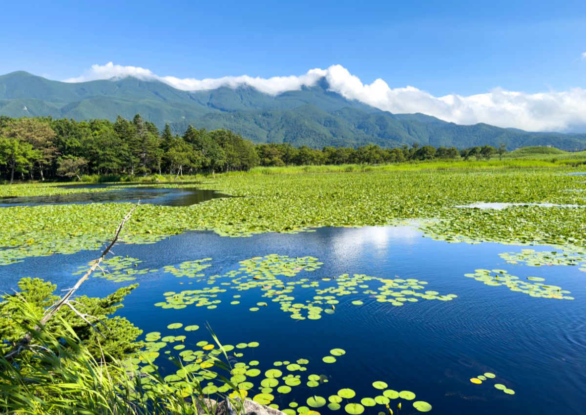 Il Parco nazionale di Shiretoko in estate, tra vegetazione, montagne e cielo azzurro