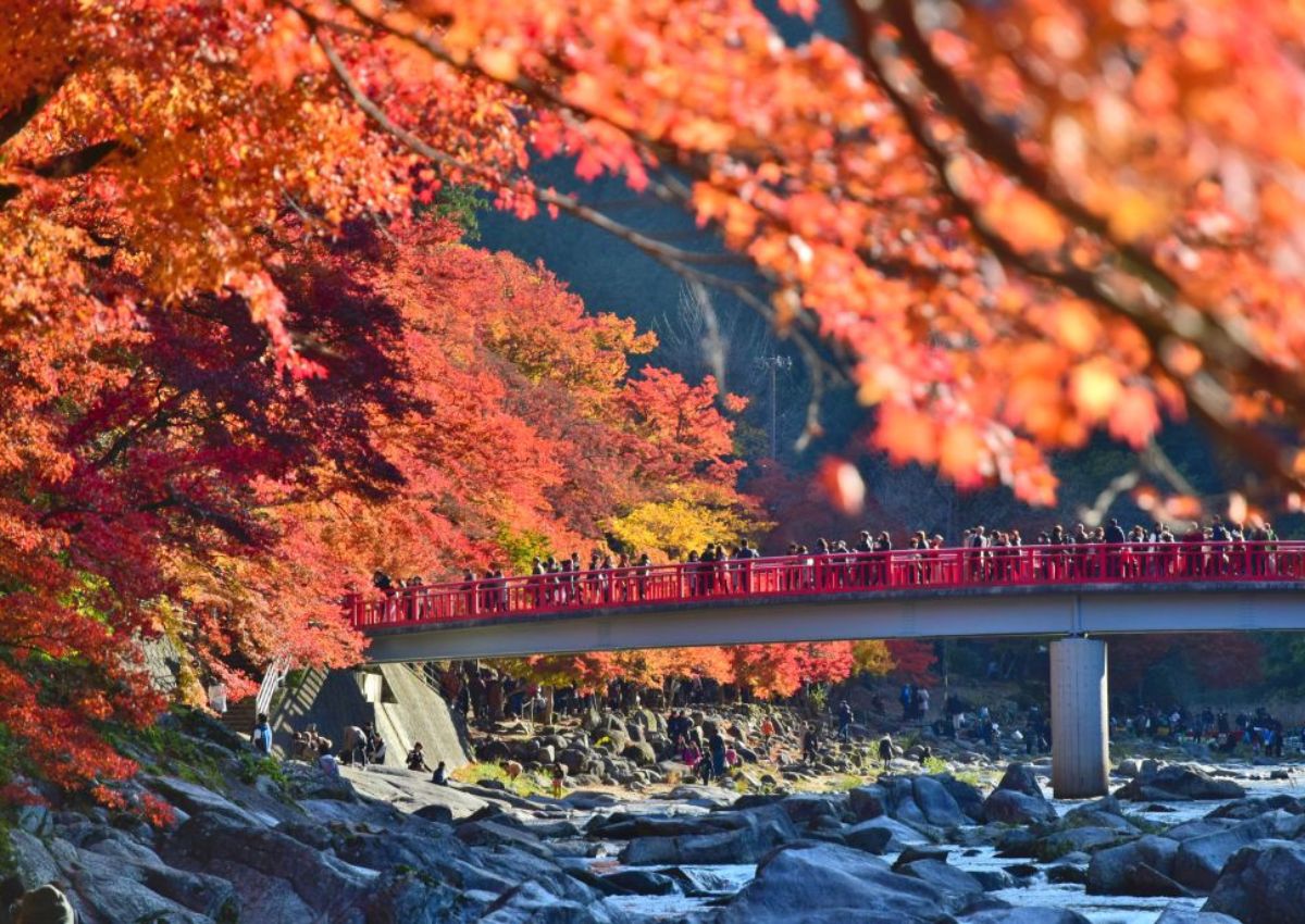 Foglie d’autunno sul ponte rosso Taigetsukyō durante il festival del foliage di Kōrankei, prefettura di Aichi, Giappone