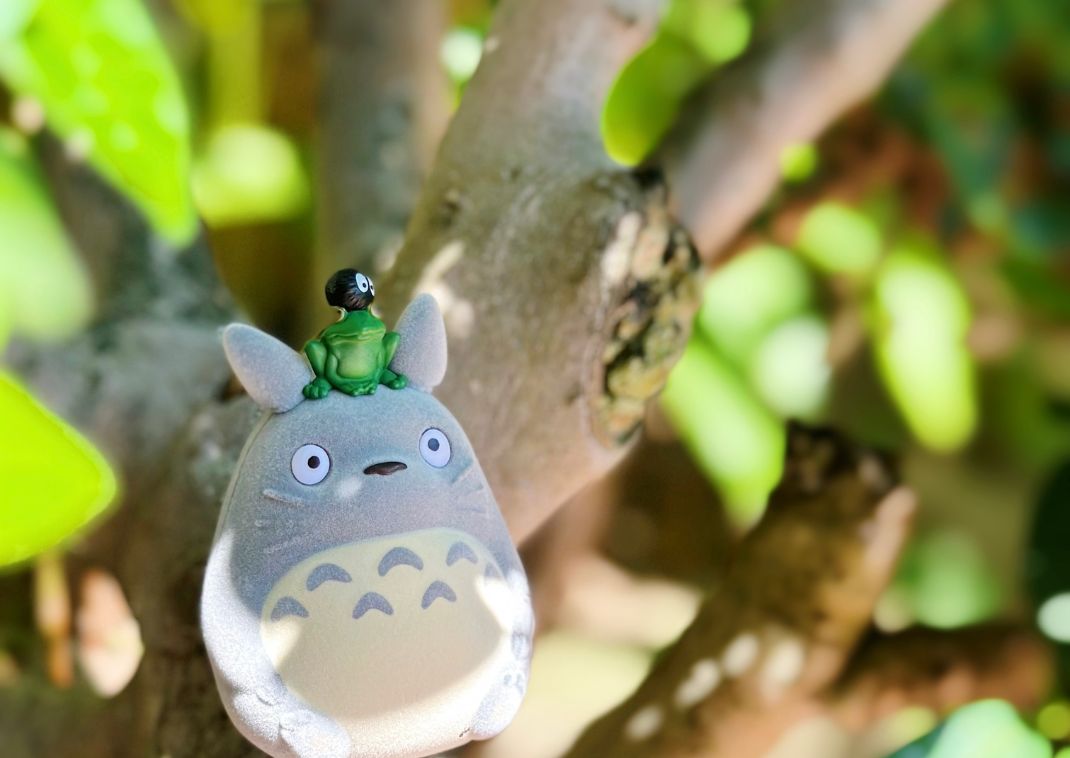 Peluche Totoro ghibli