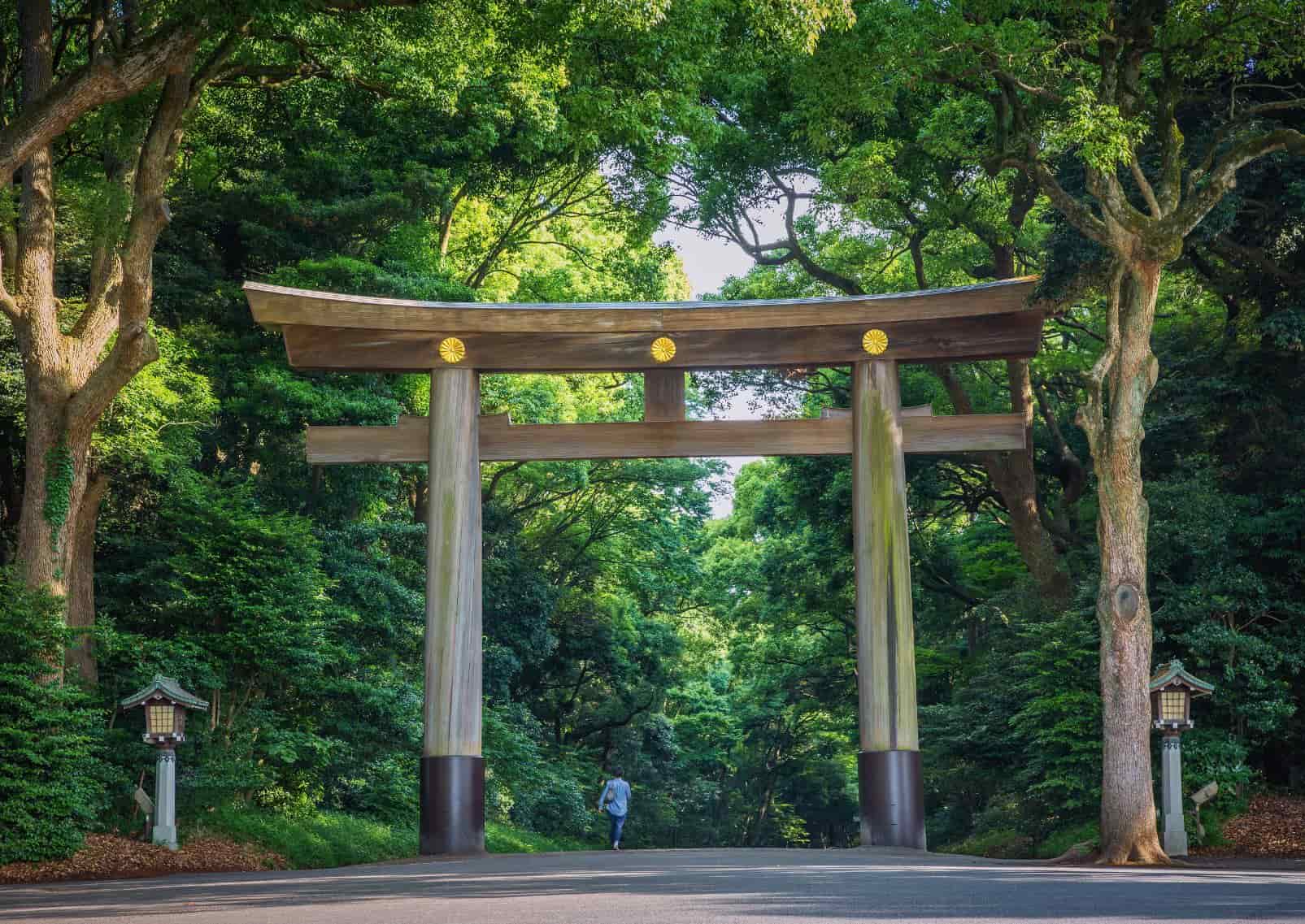 Santuario Meiji Jingu, Tokyo