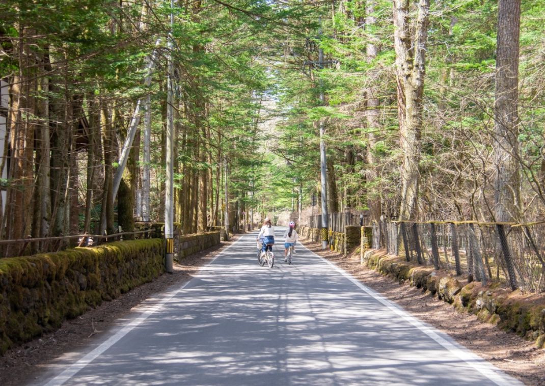 Pedalare lungo i sentieri della foresta di Karuizawa.