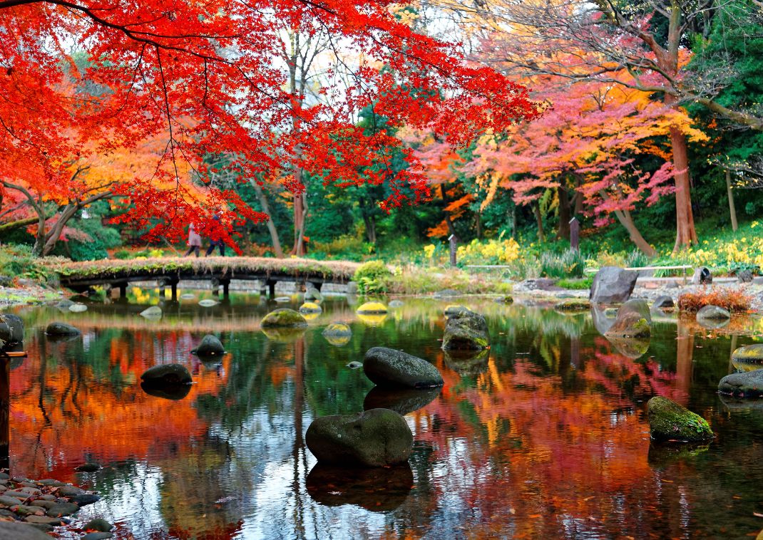Alberi e distese di sabbia rastrellata del giardino dell'Adachi Museum of Art, con le colline di Yasugi sullo sfondo