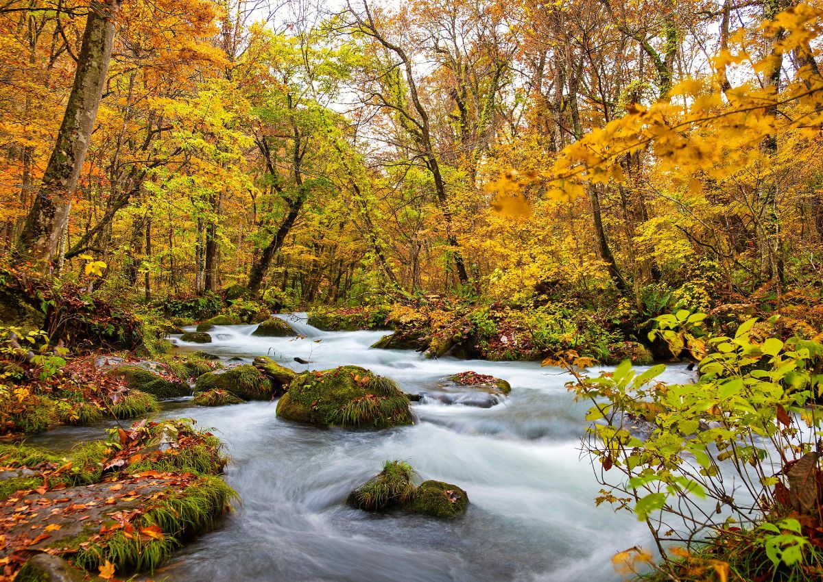 Gola di Oirase in autunno, Aomori, Giappone.