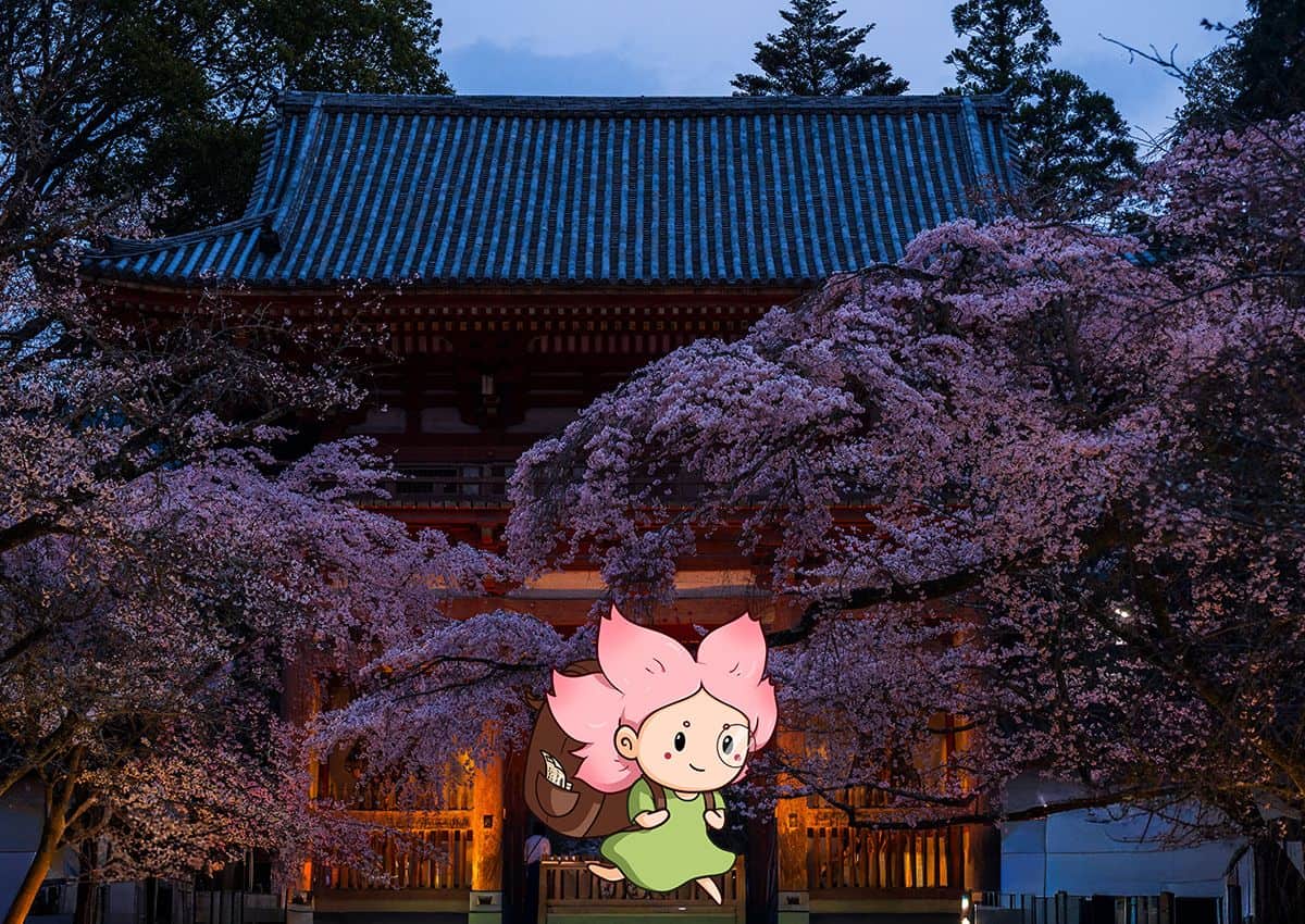 Mono-chan parte per una nuova avventura in Giappone