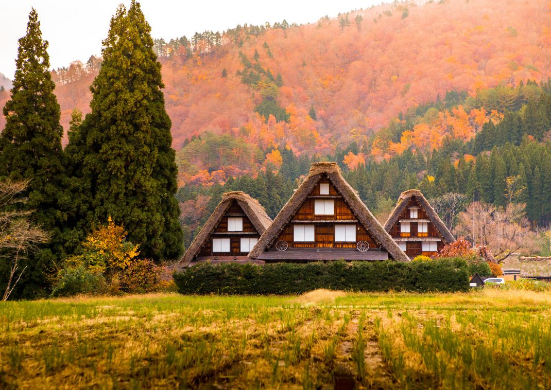 Case Patrimonio dell'Umanità a Shirakawago, Giappone